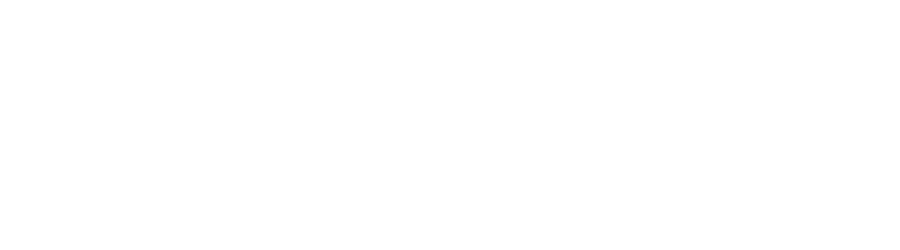 Wanessa da Leyser — Deputada Estadual
